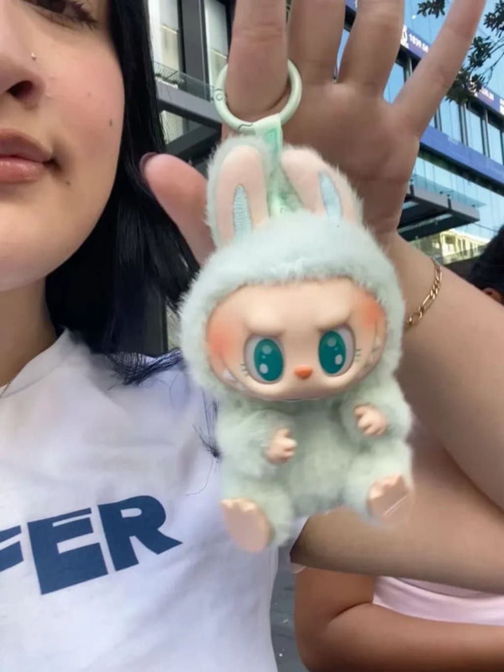 Labubu Blind Boxes